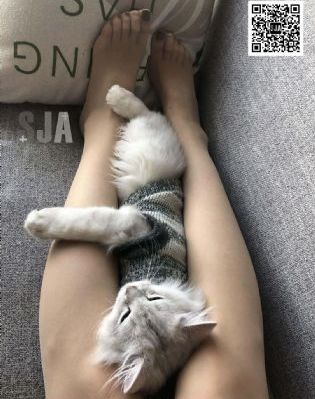 春雨直播全婐app免费_BD韩语高清完整版播放