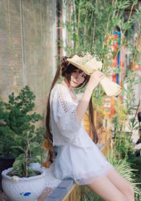 花轿喜事24集免费观看_BD在线视频观看